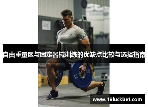 自由重量区与固定器械训练的优缺点比较与选择指南